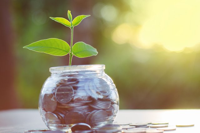 Foto: Ein Glas mit Münzen, aus dem eine Pflanze wächst